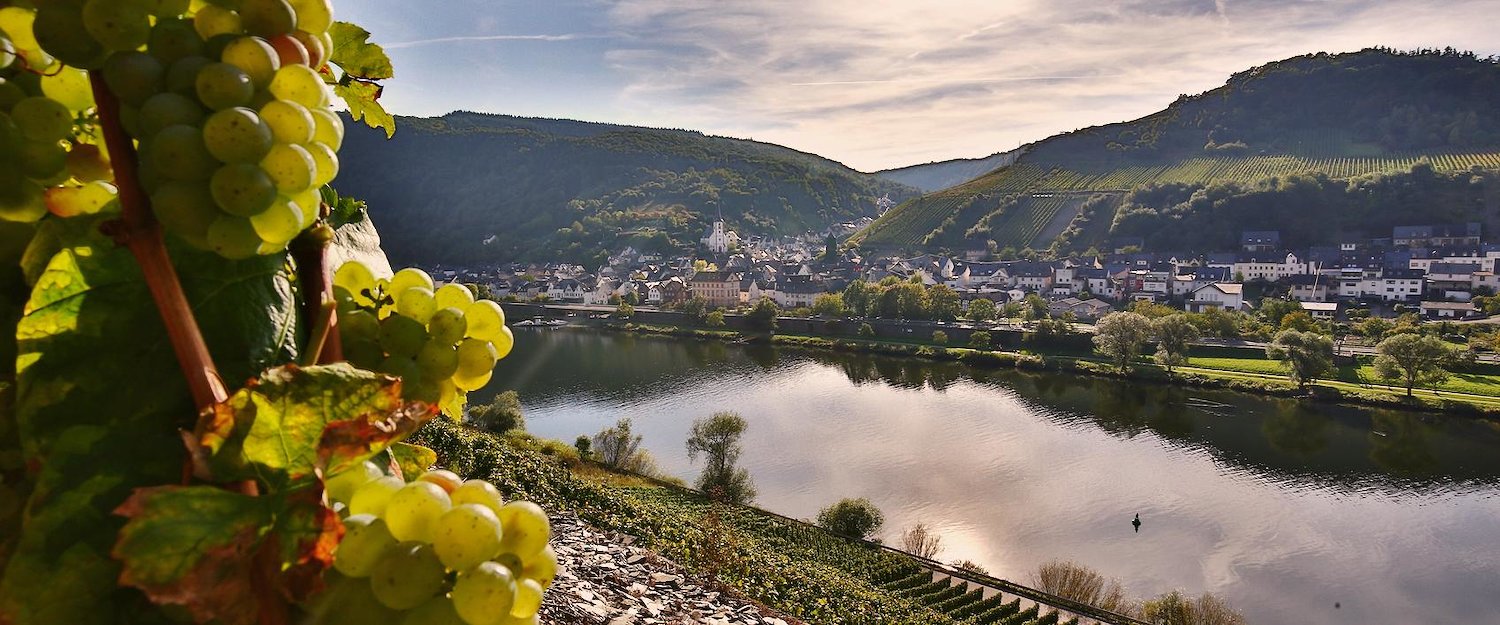 Top 18 Vacation Rentals in RhinelandPalatinate