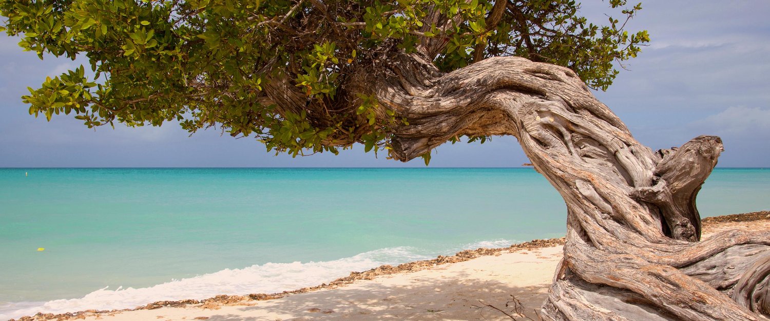 Top 18 Vacation Rentals in Aruba