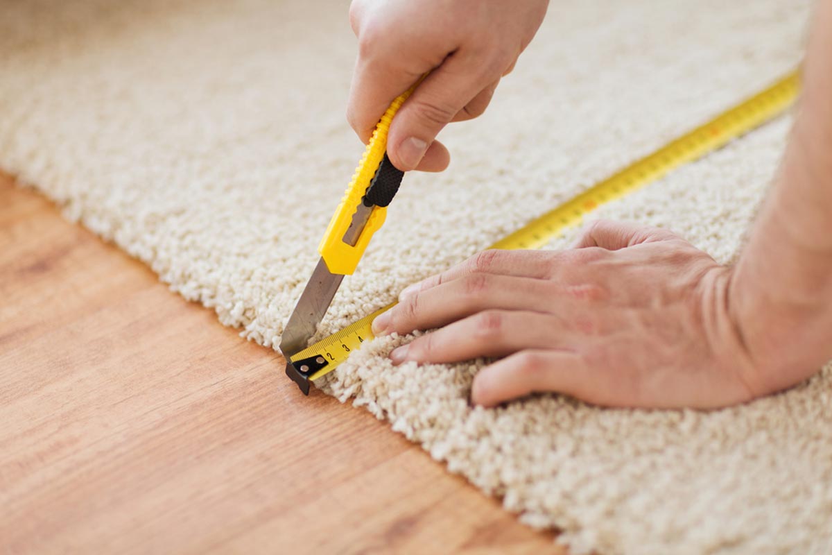 How Much Does Carpet Removal Cost? (2024 Guide)