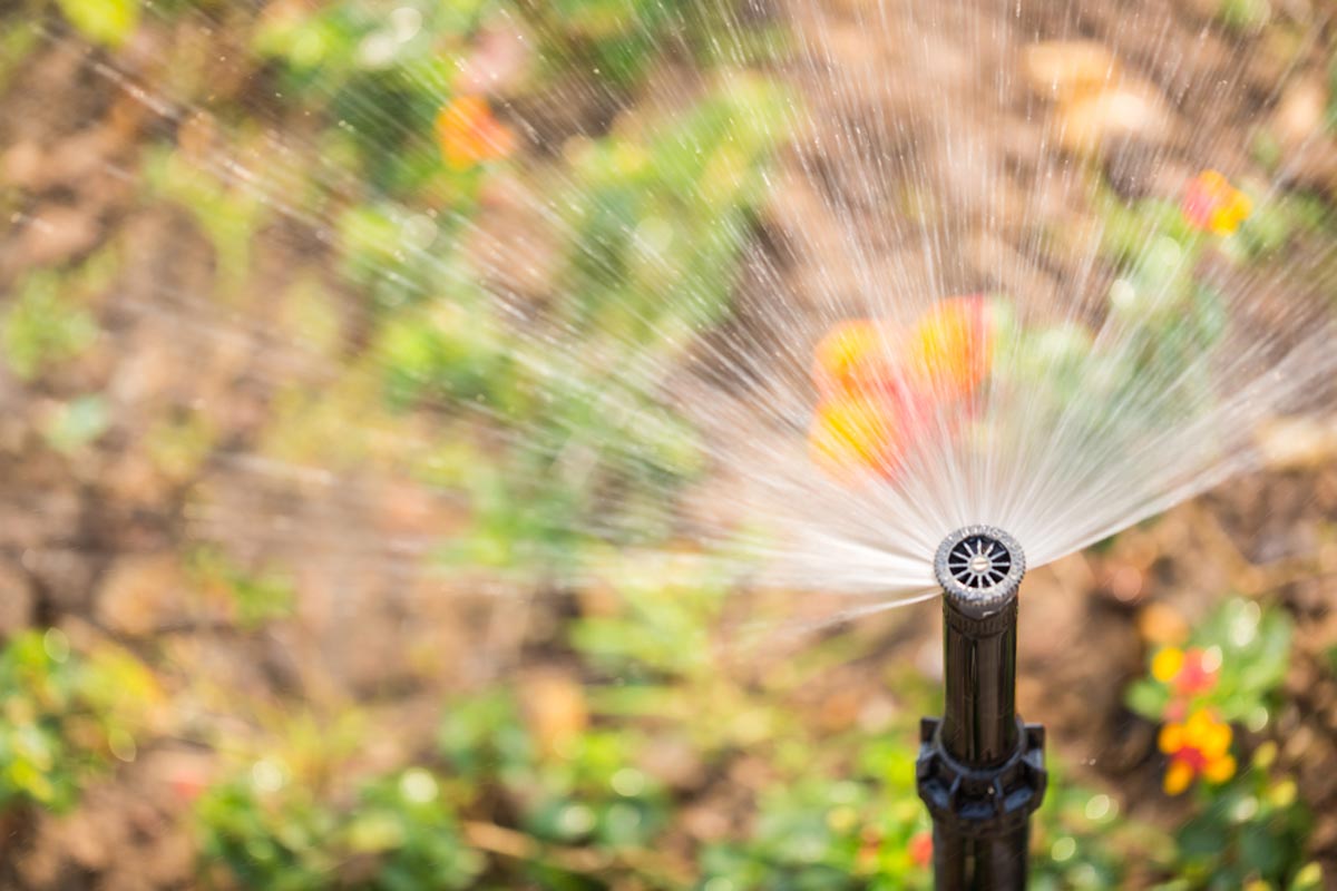 How Much Does Sprinkler System Repair Cost? (2024)