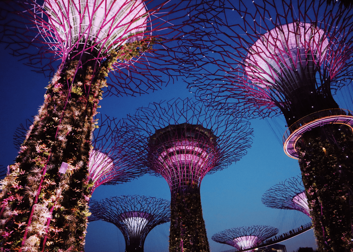 Family night out ideas in Singapore HoneyKids Asia