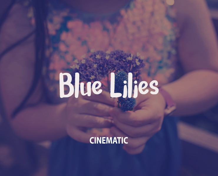 Blue Lilies Royalty Free Music HookSounds