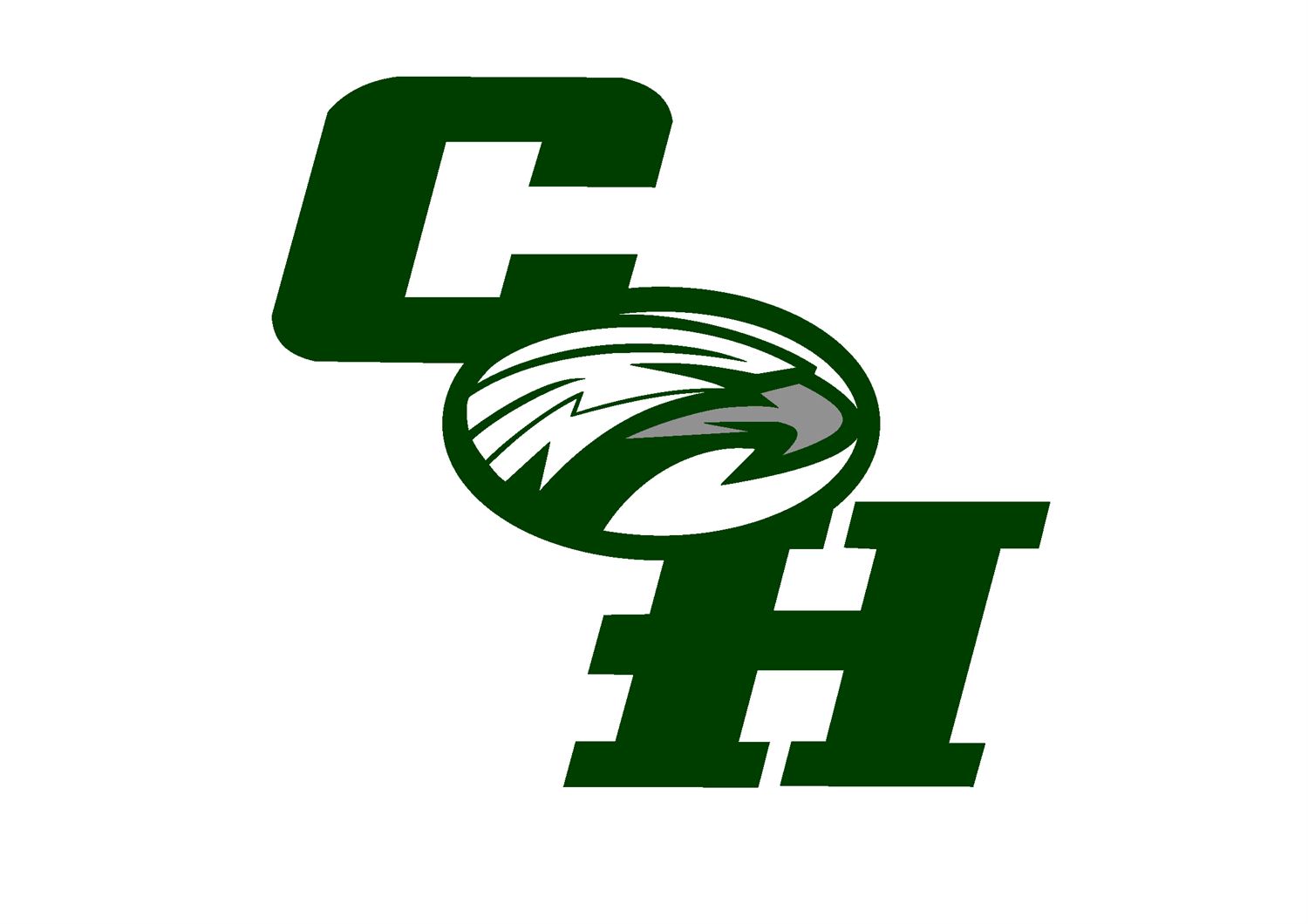 Boys Varsity Basketball Collins Hill High School Suwanee,