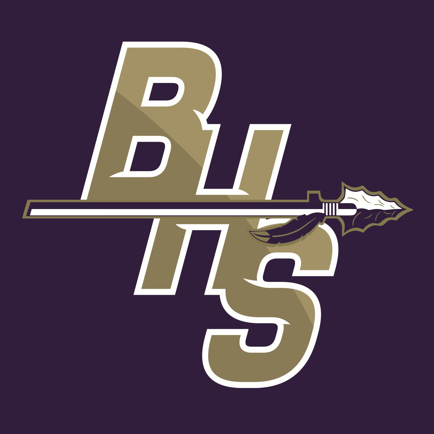 Sophomore Football Team Bloomington High School Bloomington, Illinois Football Hudl