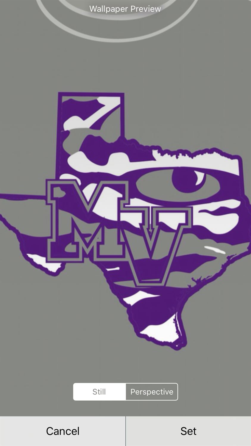 Boys Varsity Football Mount Vernon High School Mount Vernon, Texas