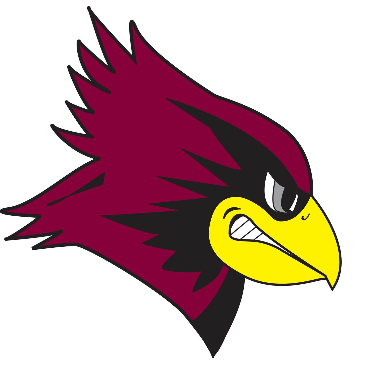 Girls Varsity Basketball De Pere High School De Pere, Wisconsin