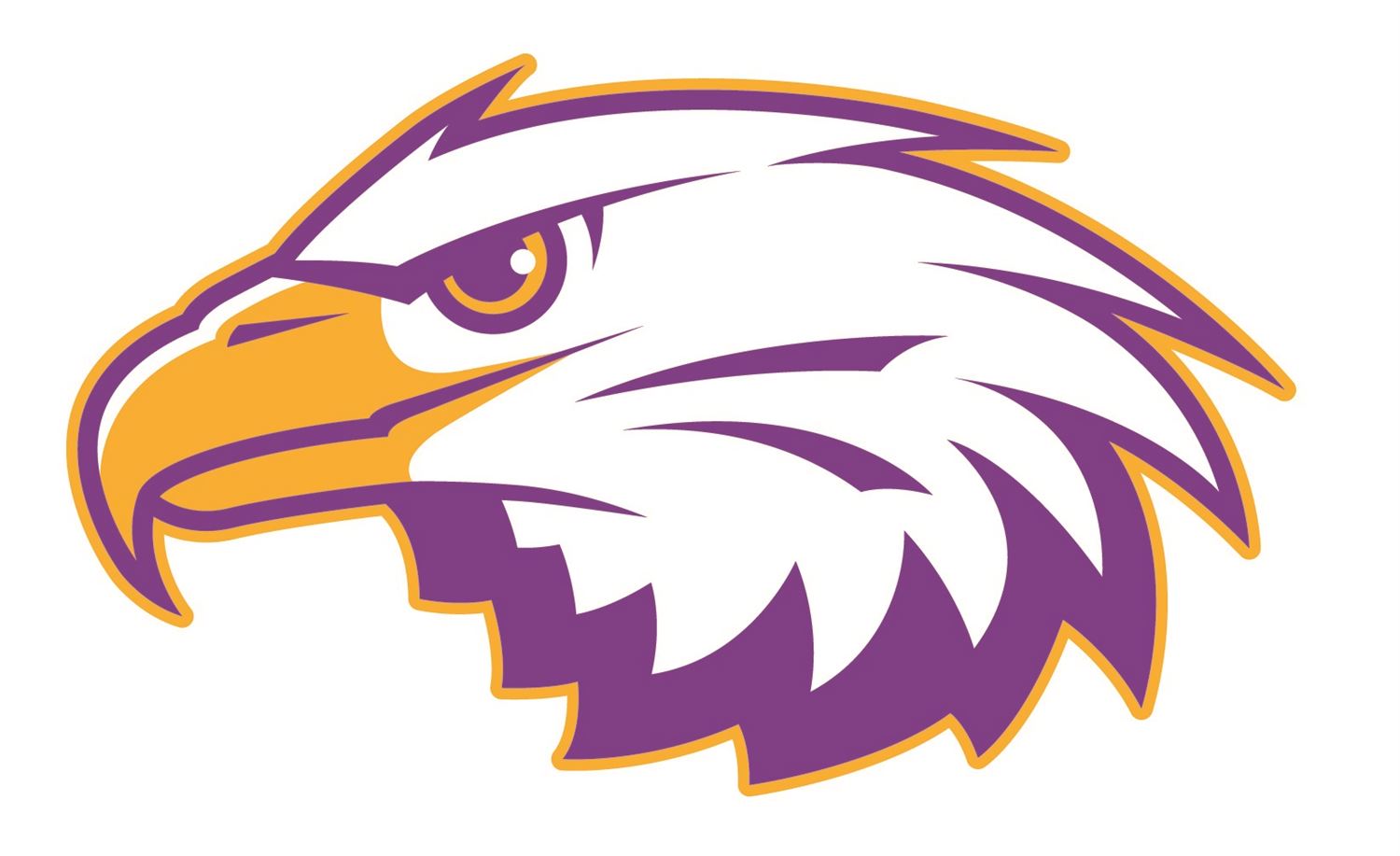 Boys' Varsity Football East High School Rochester, New York