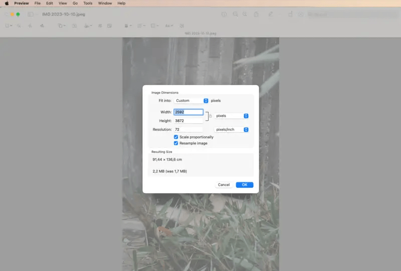 How to Resize an Image Windows, Mac, and Online Solutions Icecream Apps