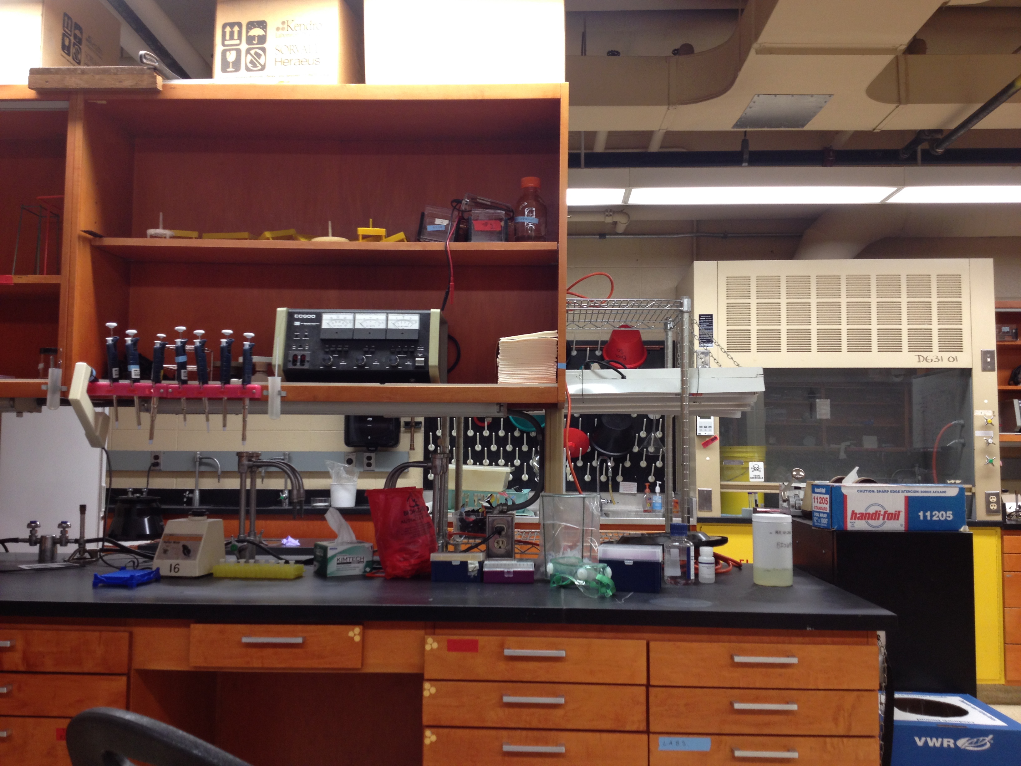 TeamNorthwestern/Safety