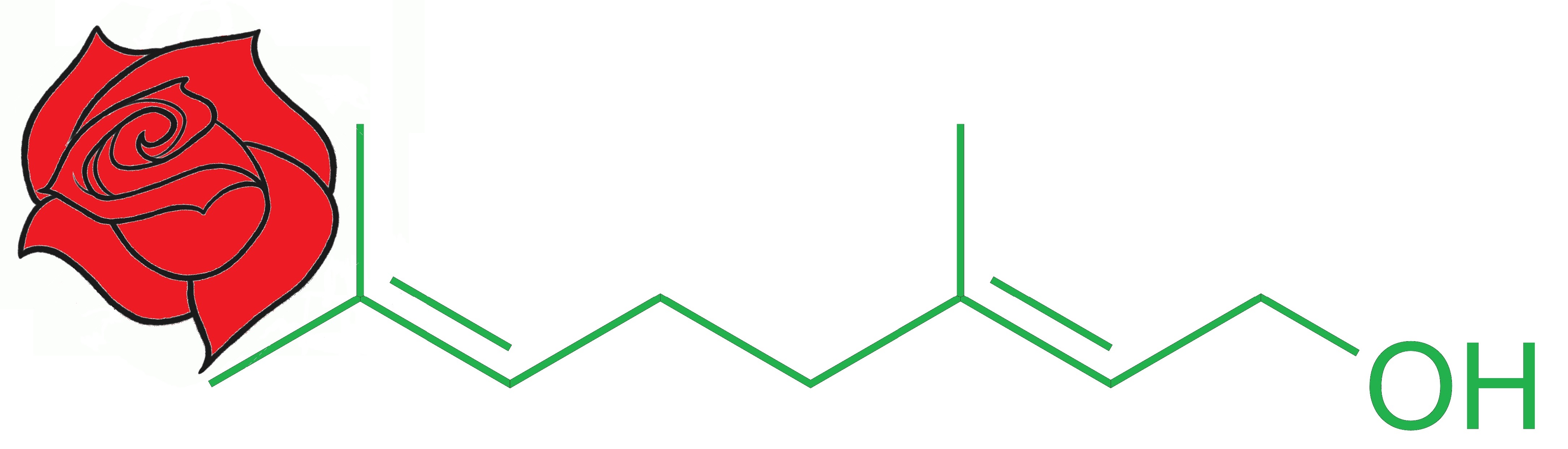 What Is Geraniol 9 Powerful Uses And Benefits Of This