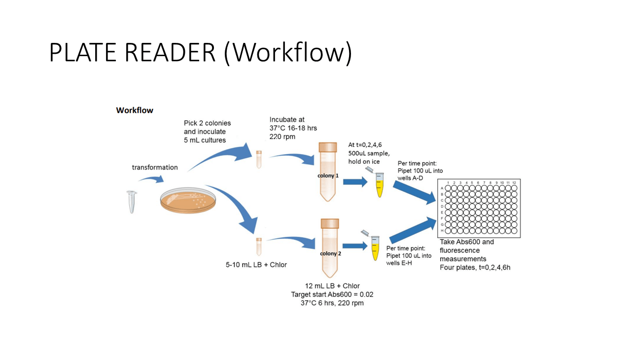 TeamUSPBrazil/InterLab/PlateReader