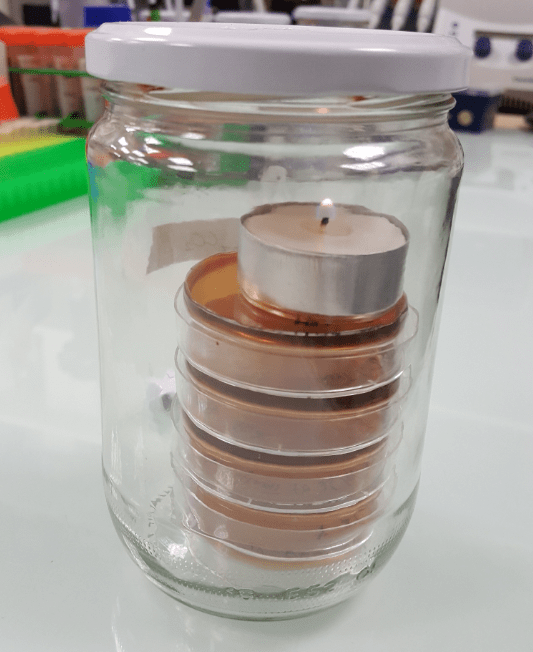 Candle Jar In Microbiology
