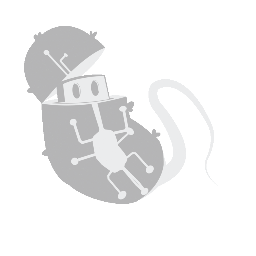 TeamTecMonterrey/Templates/TecMonterrey General Format