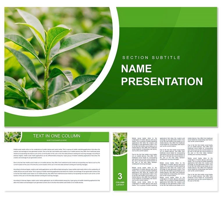 Online PPT Maker Free PowerPoint Alternative