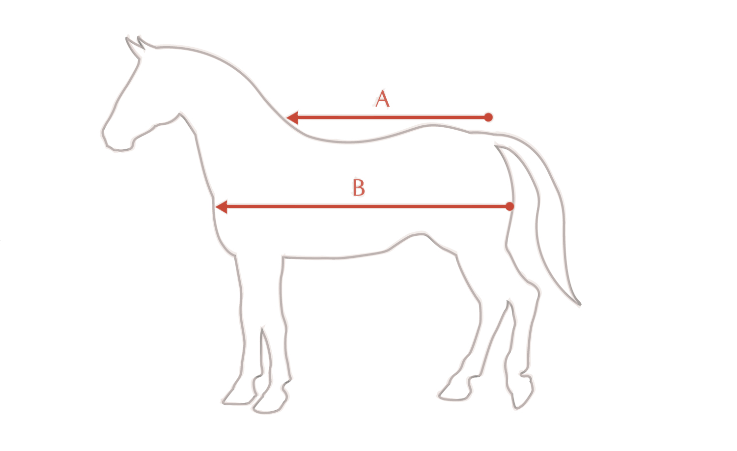 Vásároljon Horseware Rambo Helix istállólap tárcsával most horze.hu