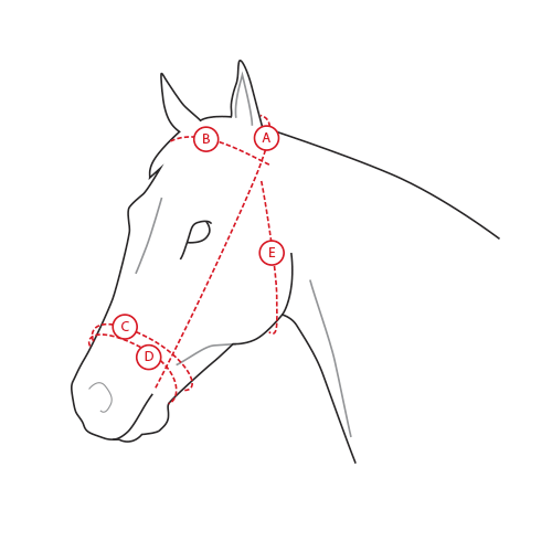 Horseware Rambo Micklem Competition Bridle horze.co.uk