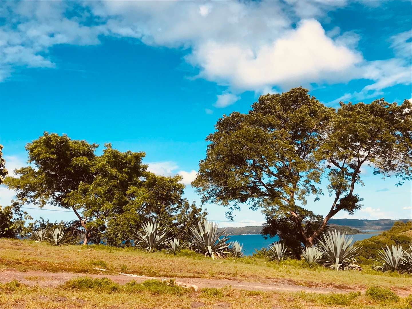 Terrain à vendre avec vue sur mer Nosy Be Immo Agence Immobilière à