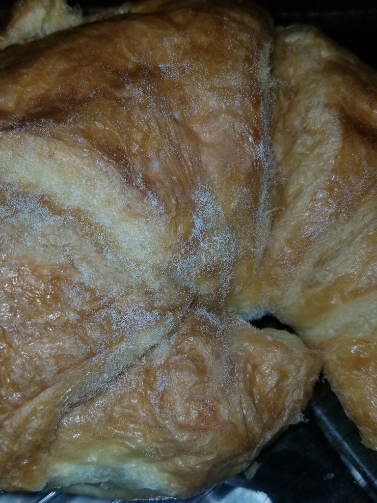 Mold Mite from Mildred Avenue & Gage Avenue, El Monte, CA 91731, USA on