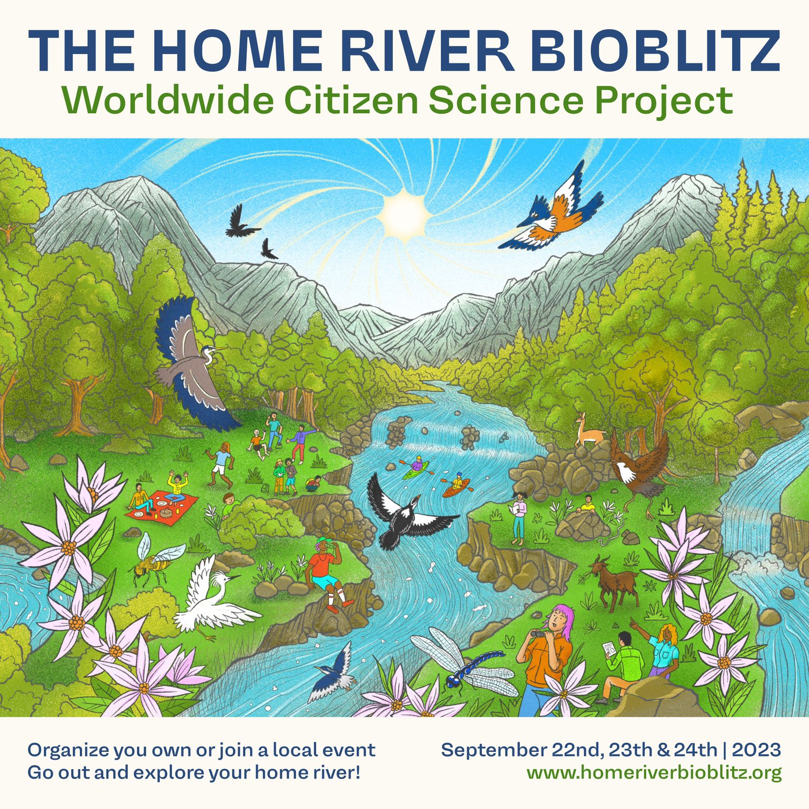 The Home River Bioblitz 2023 Río la Silla · iNaturalist