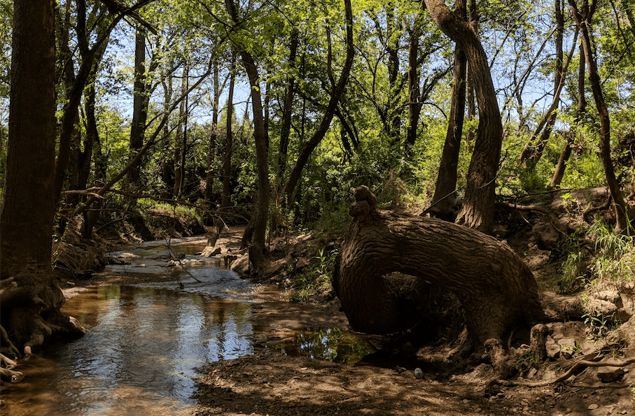 AdoptAStream Drake Branch · iNaturalist