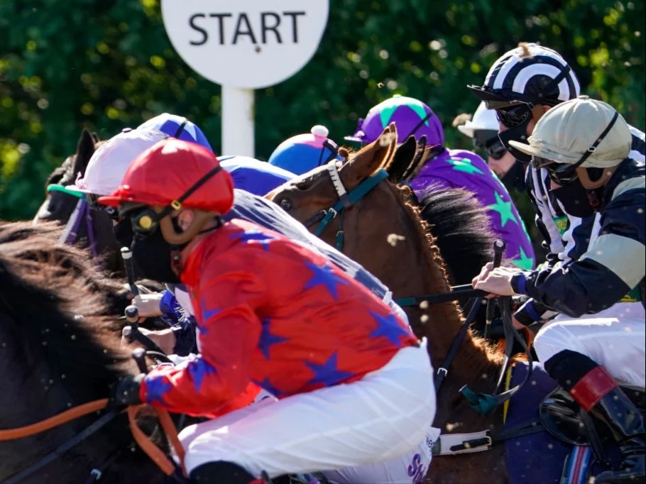 Horse racing tips and best bets Newcastle, Wolverhampton The Independent