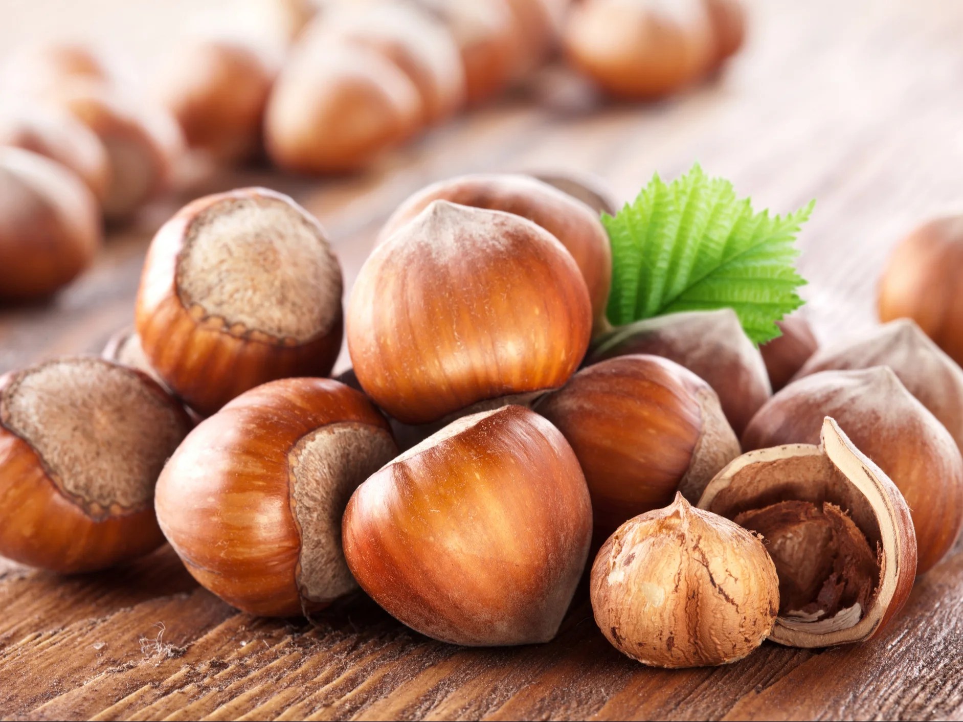 Hazelnut shells could be used as potential ‘renewable energy source