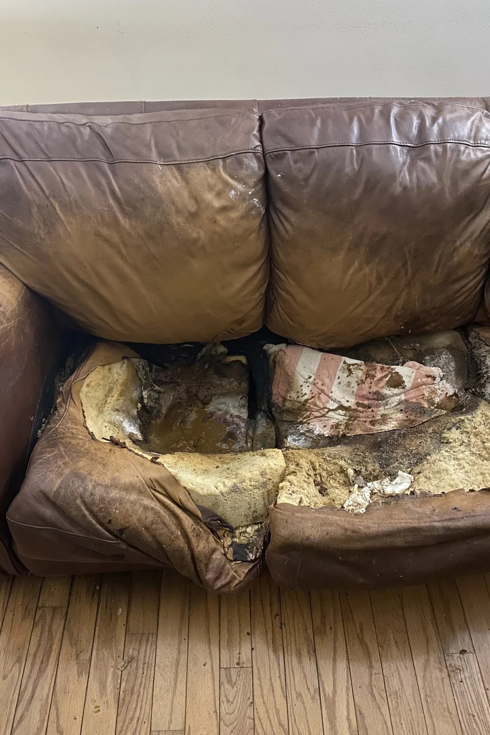 Parents of woman ‘left to rot away on sofa for 12 years’ charged with(03)