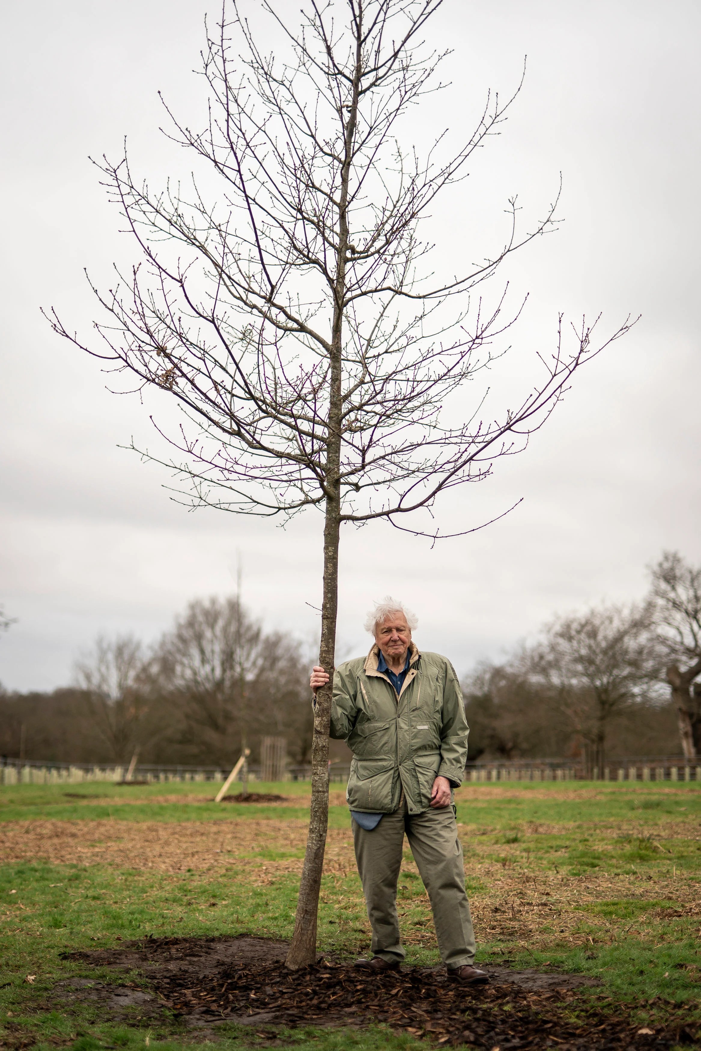 King Charles praises Queen’s Green Canopy scheme after…