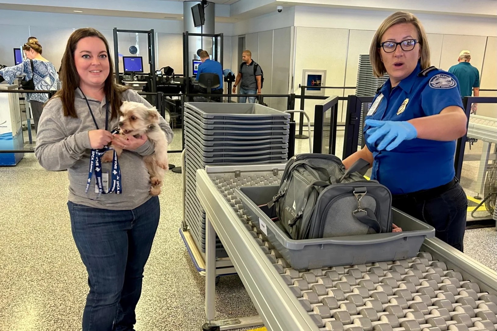 Passengers warned not to put pets through Xray scanners at airports