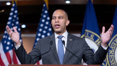 CNN grills Hakeem Jeffries over whether House Democrats are effective opposition to Trump