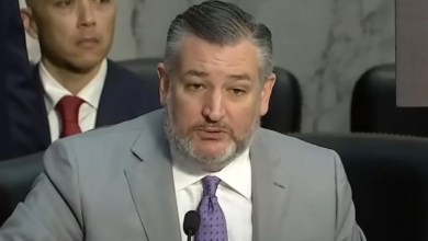 Ted Cruz says ‘Let’s must stop attacking pedophiles’ in embarrassing gaffe during rant about crime
