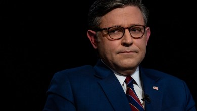 Mike Johnson makes dire prediction amid government shutdown about what Democrats will do to Trump if they retake House