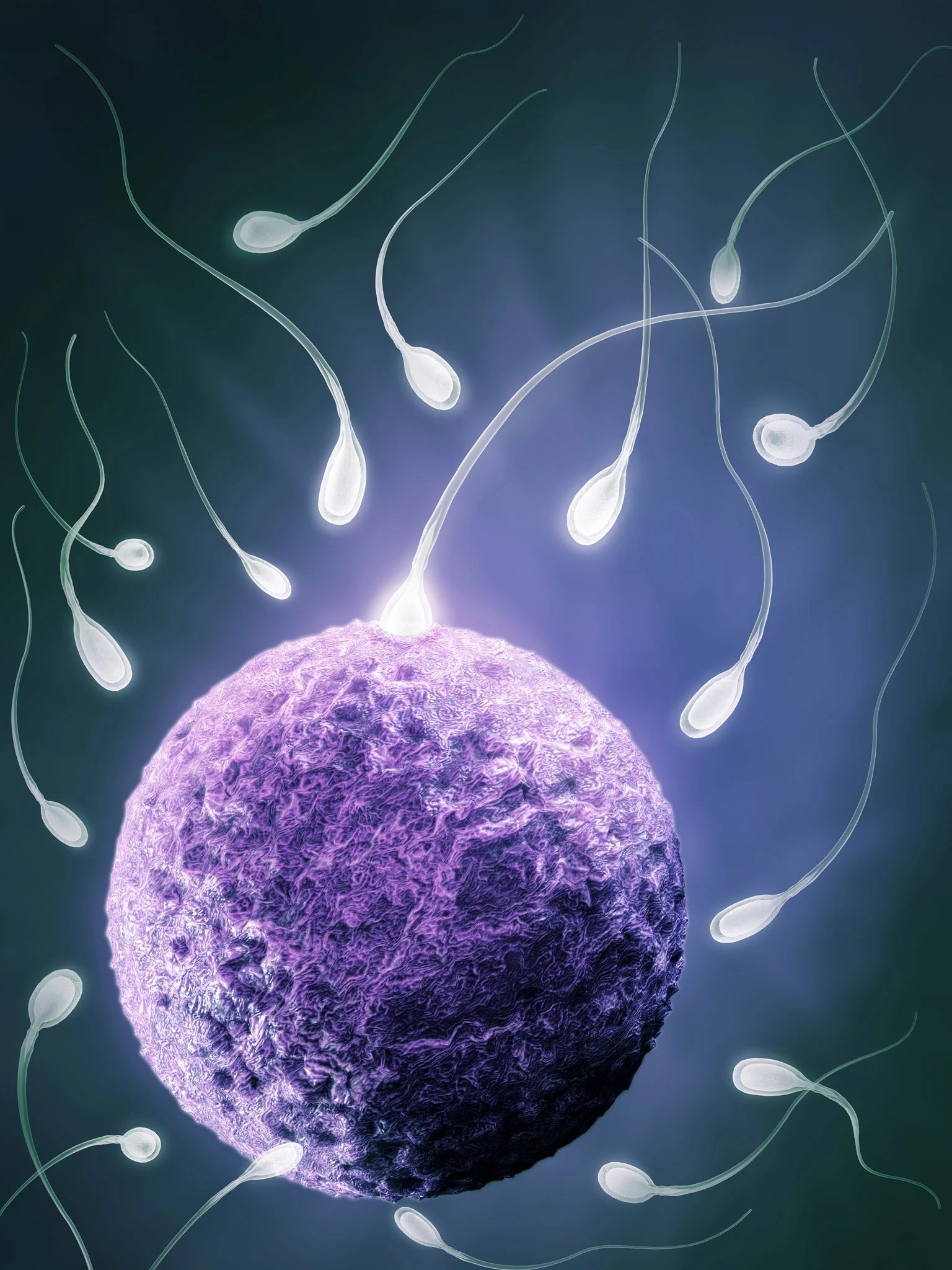 Chemicals in soap can cause male infertility, claim scientists The