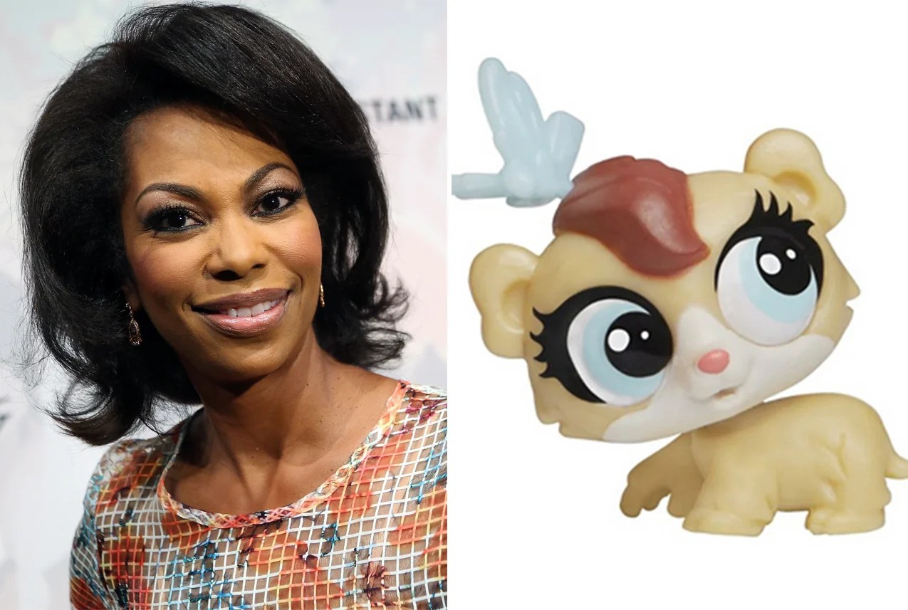 Fox News anchor Harris Faulkner sues toy company for making hamster(04)