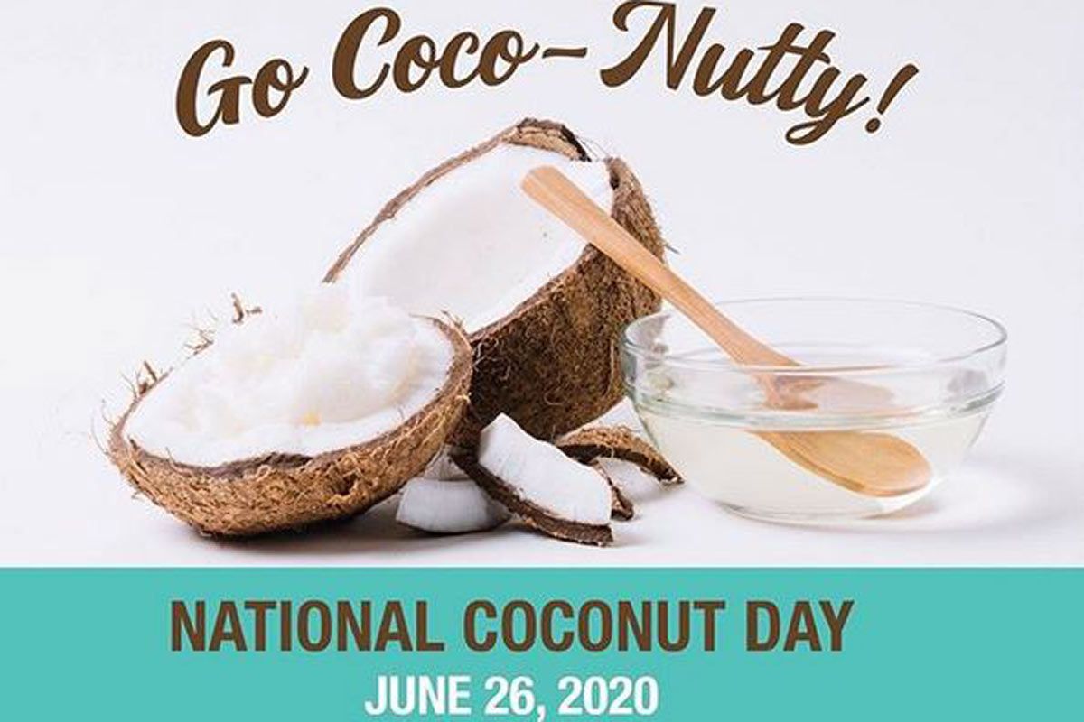National Coconut Day 2020 All About The Fruit That Provides us With Everything we Need
