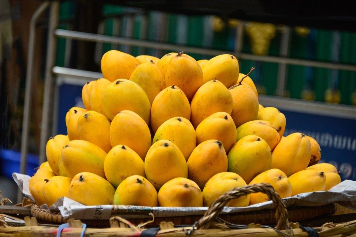 Here's Why You Should Not Keep Mangoes/Watermelons in Fridge