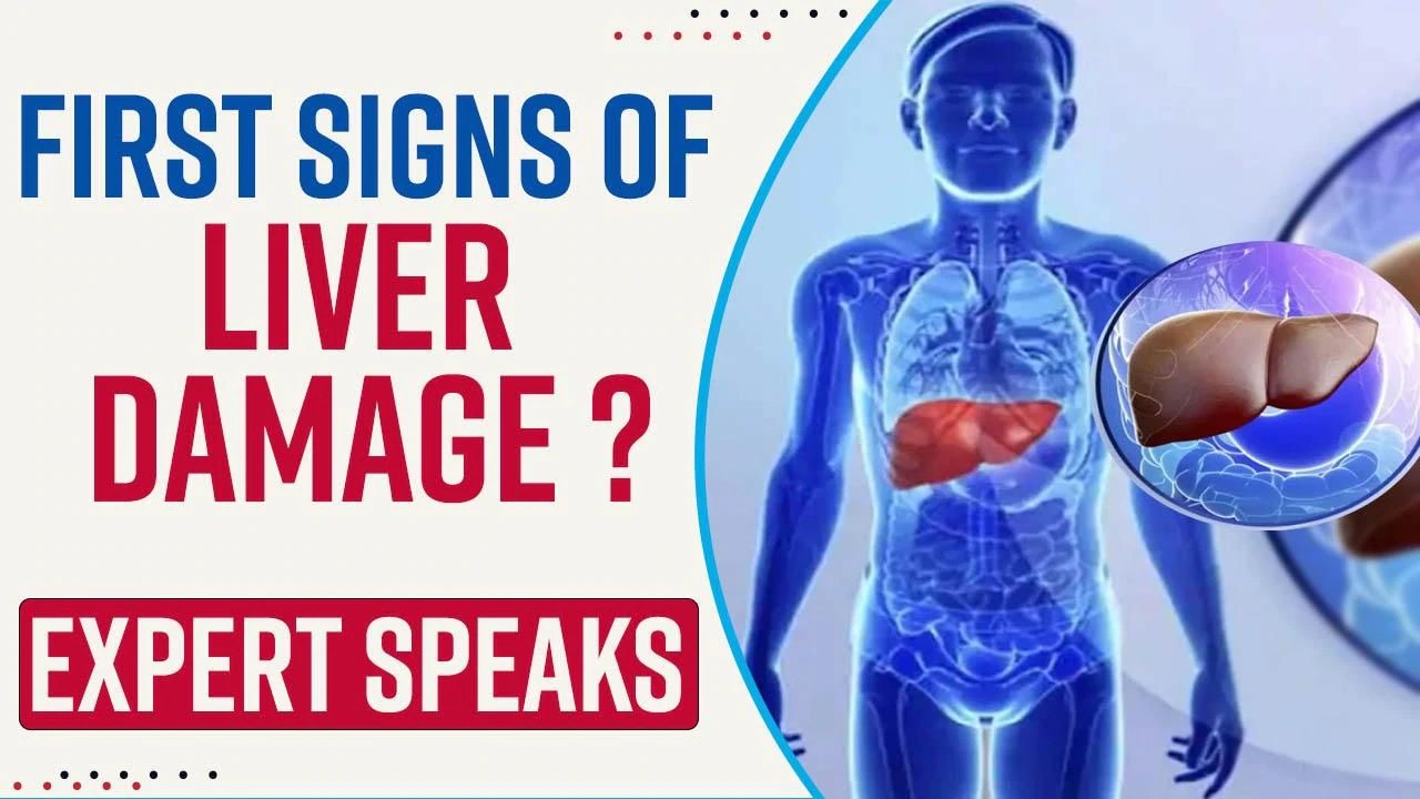 Explained Symptoms, Early Signs And Treatment For A Damaged Liver