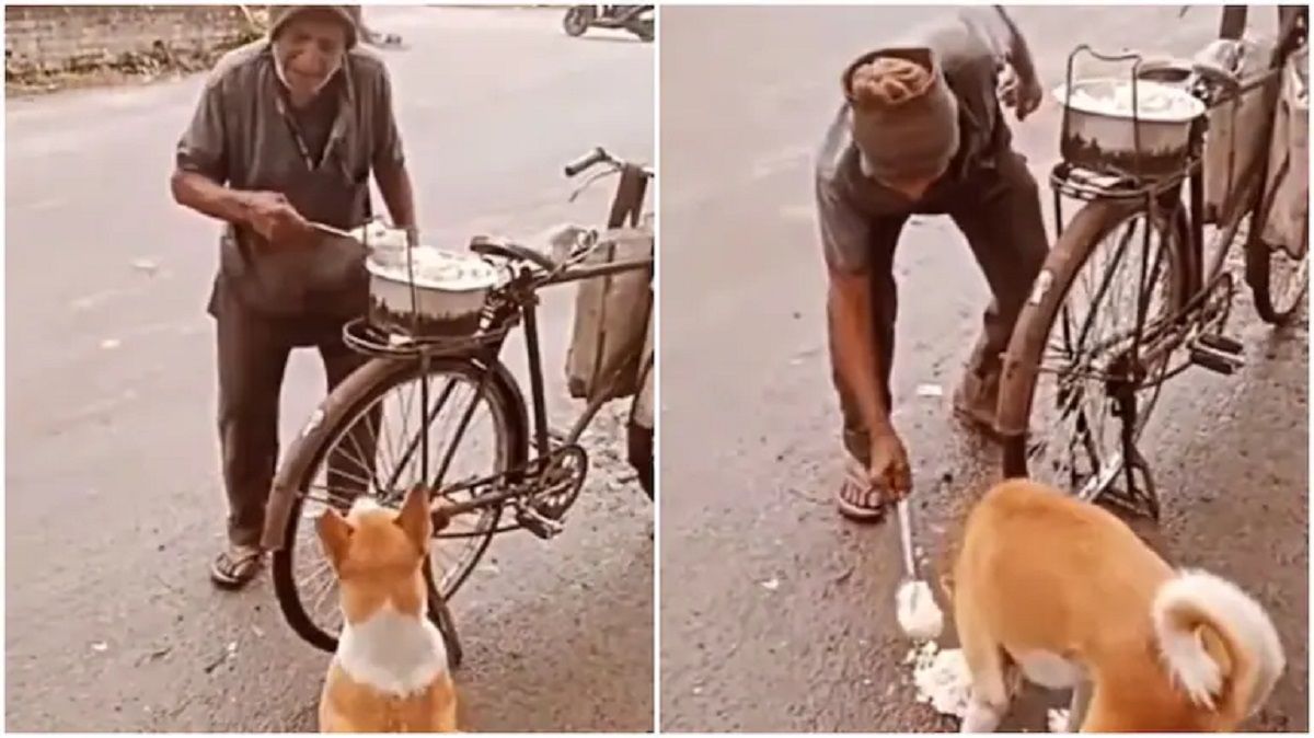 Viral Video Poor Man Feeds Rice to Stray Dog, Makes