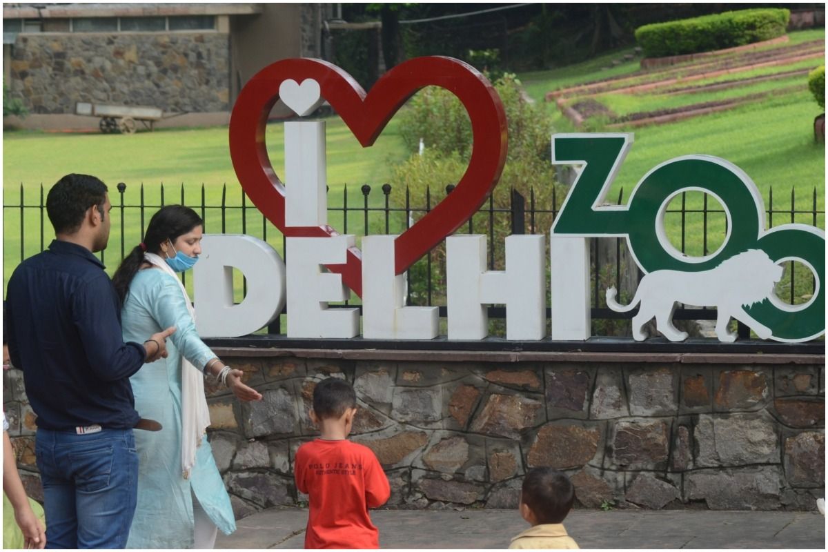 Delhi Zoo Back Tourists After 2 Months, 4,000 Tickets Sold