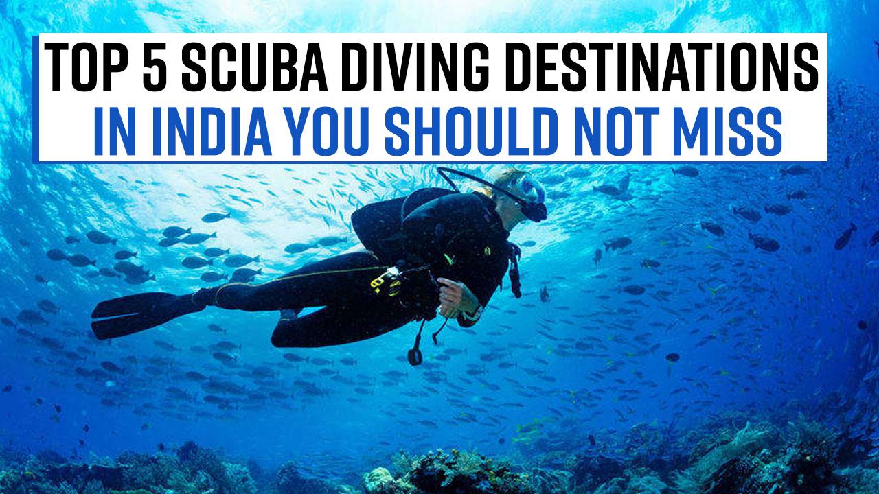 Scuba Diving Destination Planning For Something Super Adventurous? Do