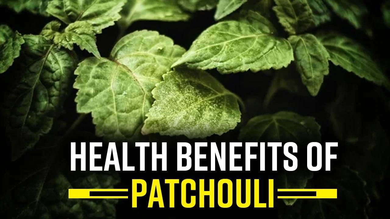 Health Benefits Of Patchouli From Treating Skin Condition To Enhancing Food Taste, Patchouli