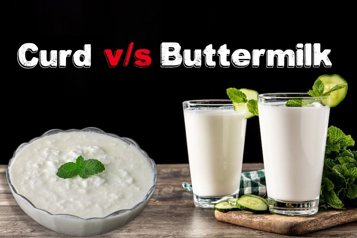 Curd vs Buttermilk Why is Chaach Better Than Dahi Ayurveda Expert Answers