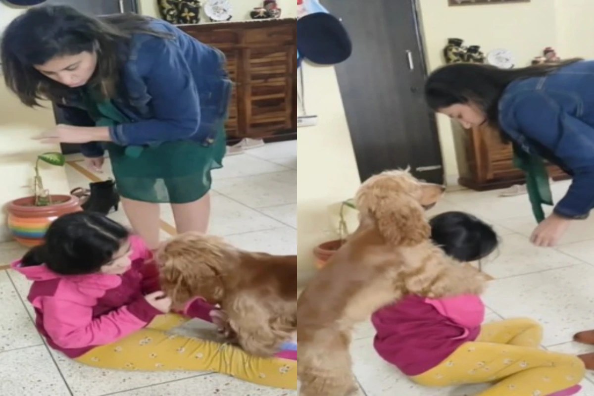 Viral Furry Friend Tries To Protect Girl After Woman Pretends To Hit