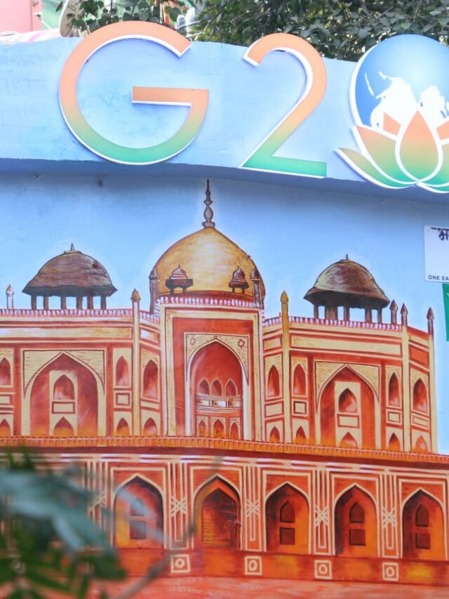 Stunning Artwork Takes Over Delhi Walls As City Gets Ready For G20