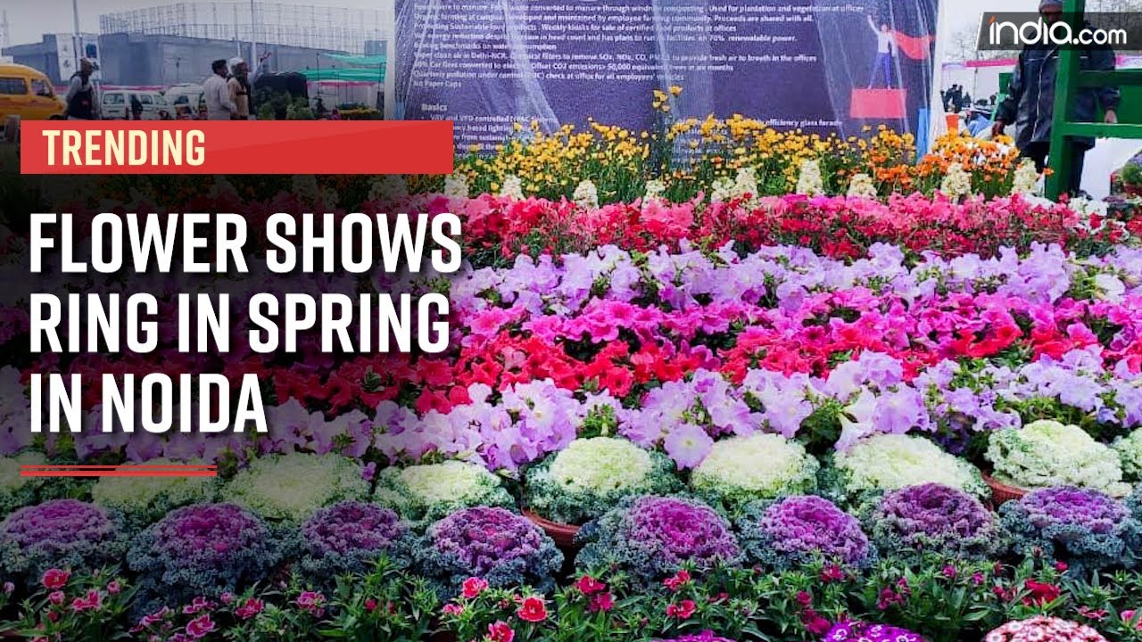 Noida Annual Flower Show More Than 41 Species Of Exotic And Rare