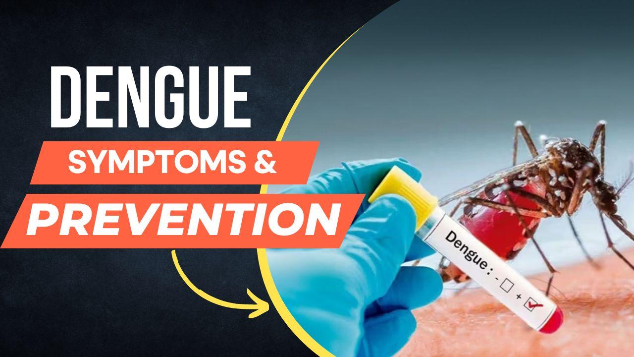 Dengue Spike Surge In Dengue Cases In Delhi, Early Signs And Symptoms