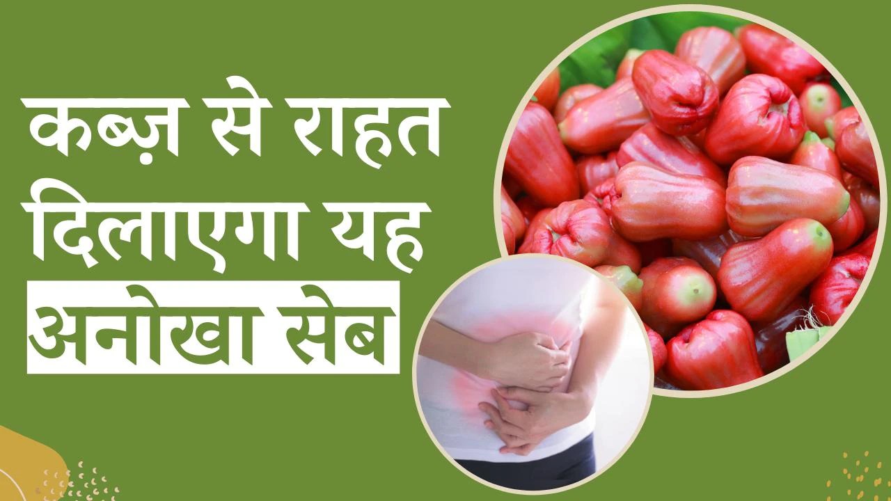 Water Apple Benefits कब्ज़ से राहत दिलाएगा यह अनोखा सेब, त्वचा के लिए