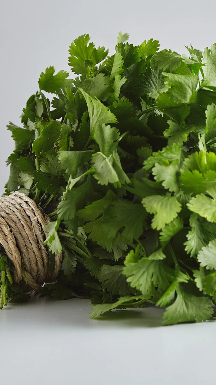 10 Side Effects of Eating Dhaniya or Coriander