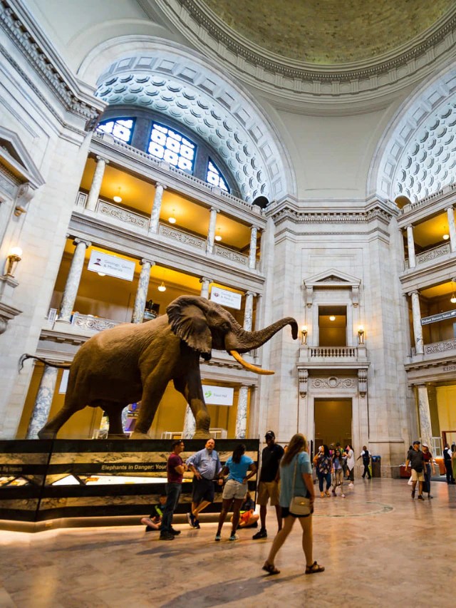 9 Most Famous Museums In The World