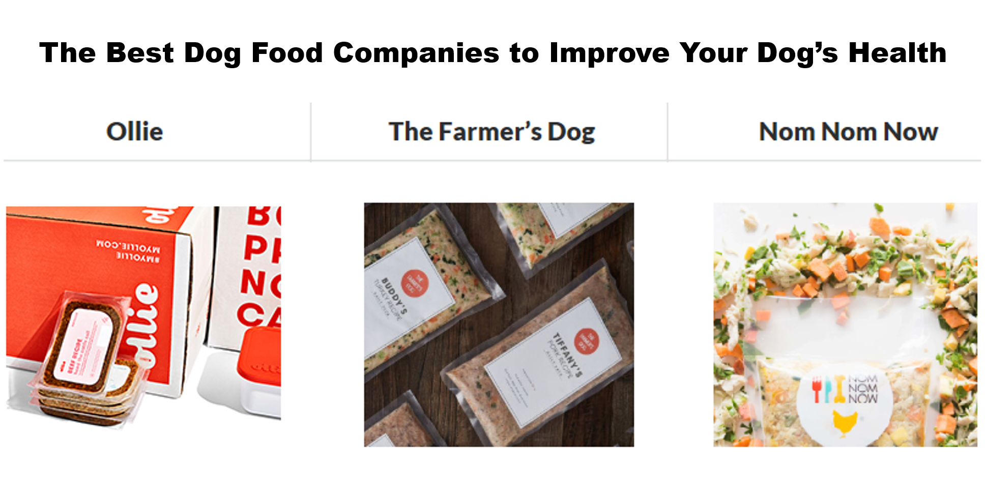 New Evidence Connects GrainFree Diets with Canine Heart Disease. Here